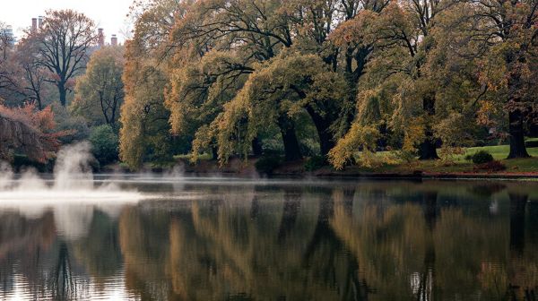 Top thérapies pour surmonter les addictions à Londres
